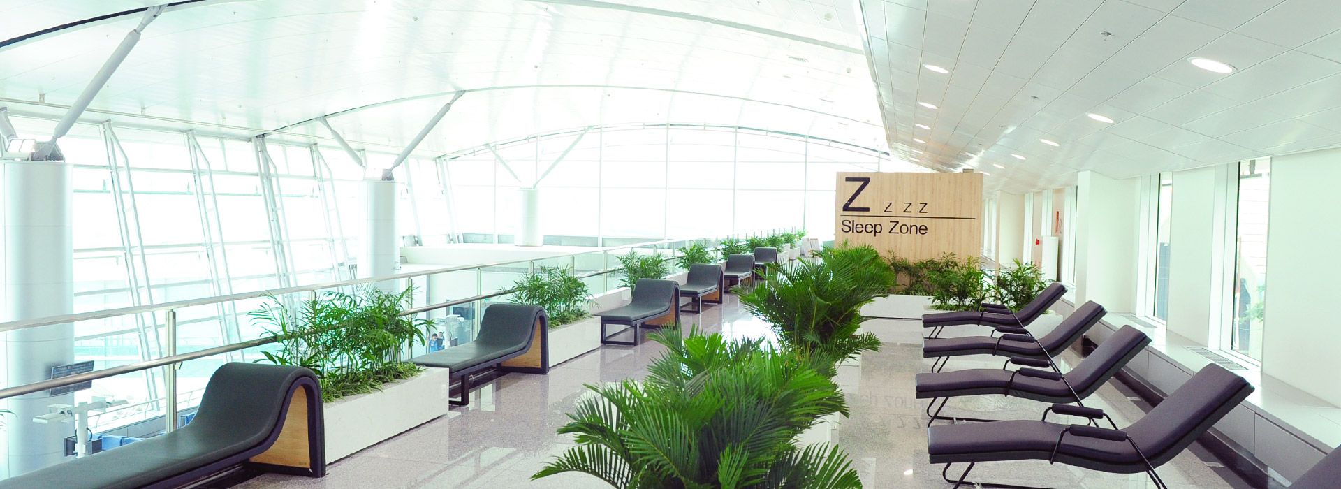 free-service-home-banner
